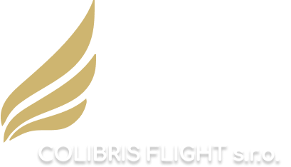 Colibris flight